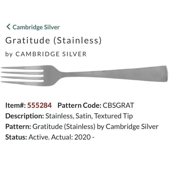 42 PC CAMBRIDGE 11/20 STAINLESS FLATWARE Gratitude PATTERN BRUSHED BEADED GLOSSY - Picture 2 of 9